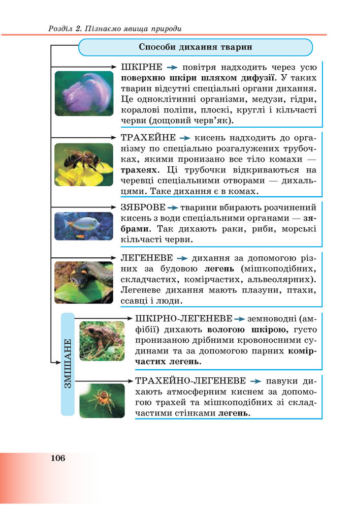 Підручник Пізнаємо природу 6 клас Мідак (2023)