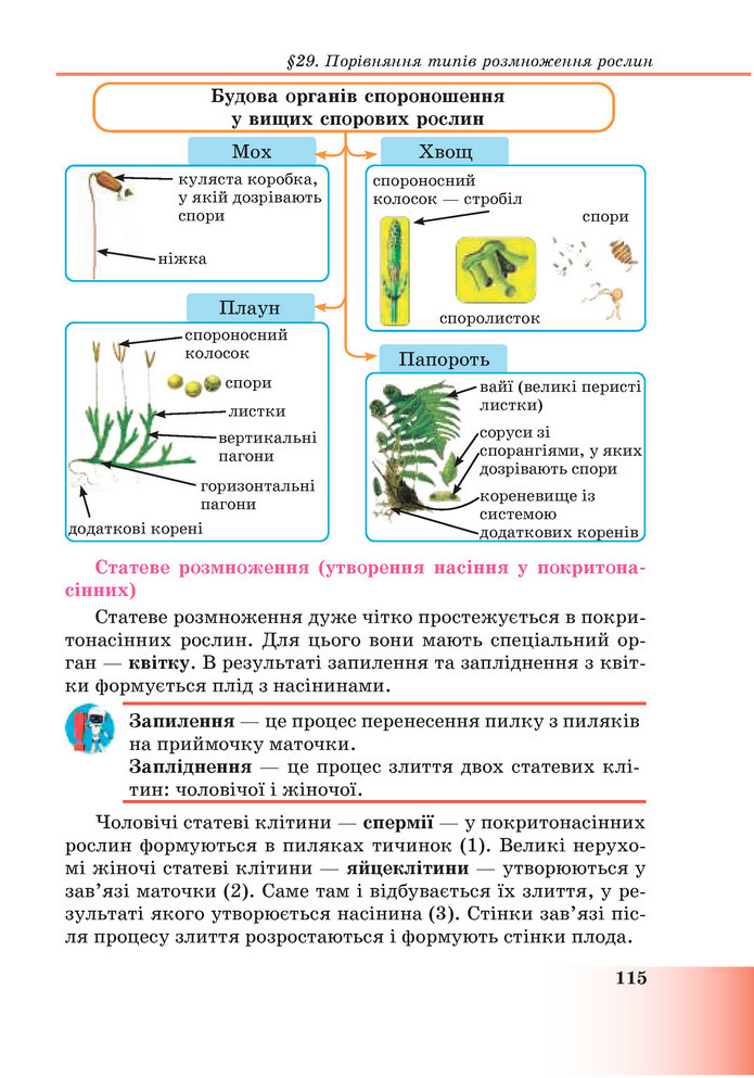 Підручник Пізнаємо природу 6 клас Мідак (2023)