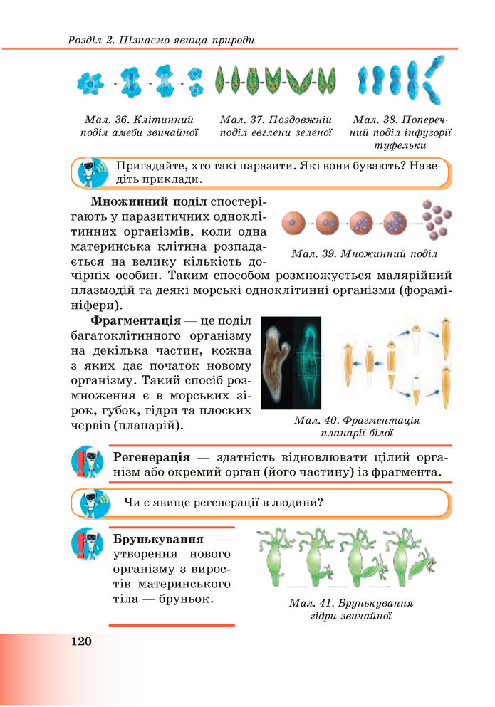 Підручник Пізнаємо природу 6 клас Мідак (2023)