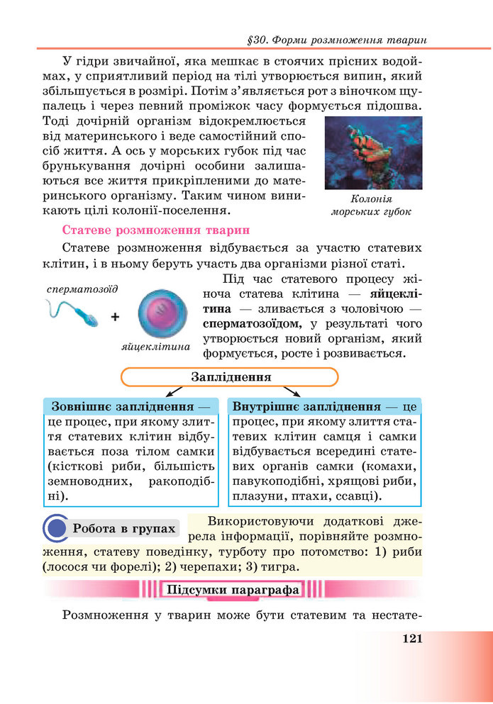 Підручник Пізнаємо природу 6 клас Мідак (2023)