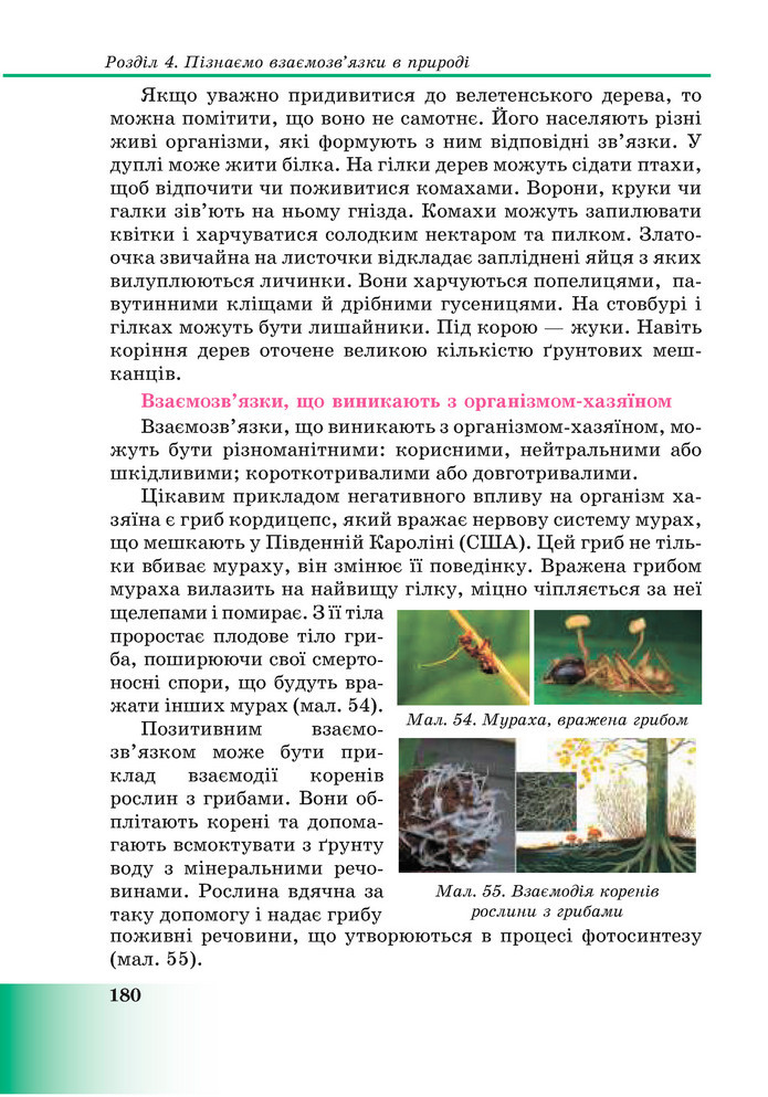 Підручник Пізнаємо природу 6 клас Мідак (2023)