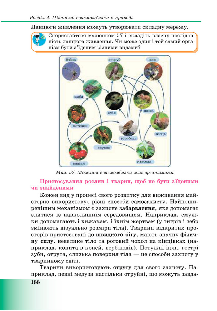 Підручник Пізнаємо природу 6 клас Мідак (2023)