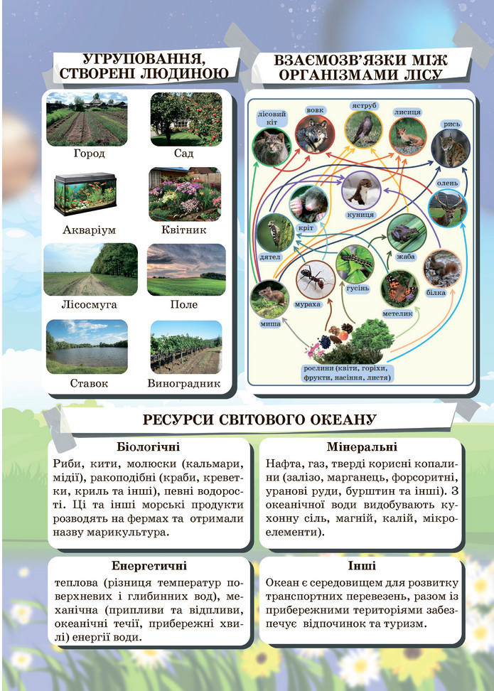 Підручник Пізнаємо природу 6 клас Мідак (2023)