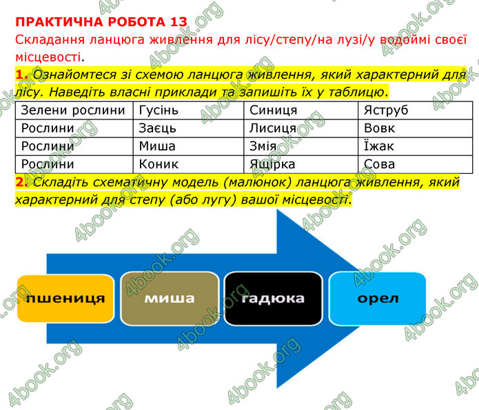 Зошит практични Географія 6 клас Стадник. ГДЗ