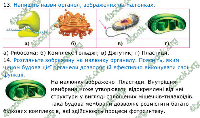 Біологія 9 клас Задорожний 2017. ГДЗ