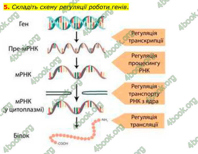 Біологія 9 клас Задорожний 2017. ГДЗ