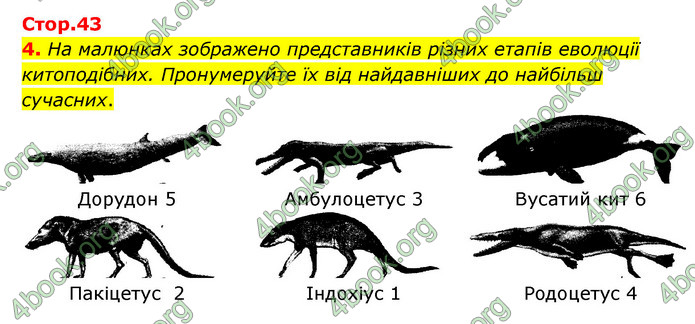 Відповіді Зошит Біологія 9 клас Задорожний 2020. ГДЗ