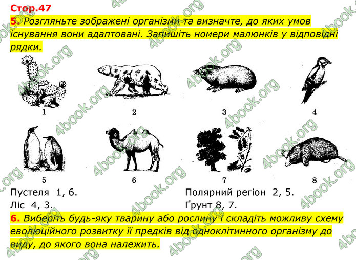 Відповіді Зошит Біологія 9 клас Задорожний 2020. ГДЗ