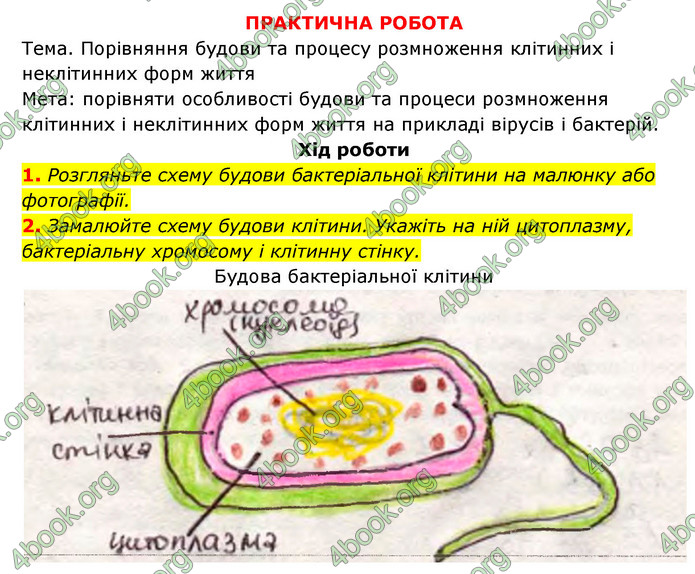 Відповіді Зошит Біологія 9 клас Задорожний 2020. ГДЗ