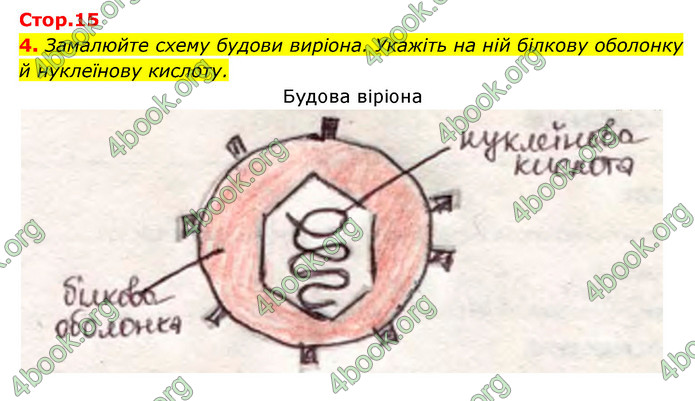 Відповіді Зошит Біологія 9 клас Задорожний 2020. ГДЗ