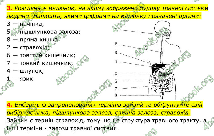 ГДЗ Зошит Біологія 8 клас Задорожний 2021