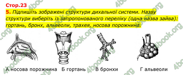 ГДЗ Зошит Біологія 8 клас Задорожний 2021