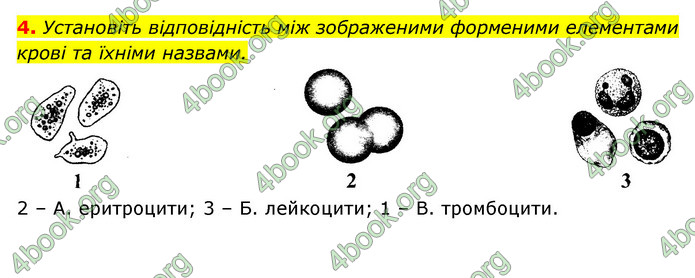 ГДЗ Зошит Біологія 8 клас Задорожний 2021