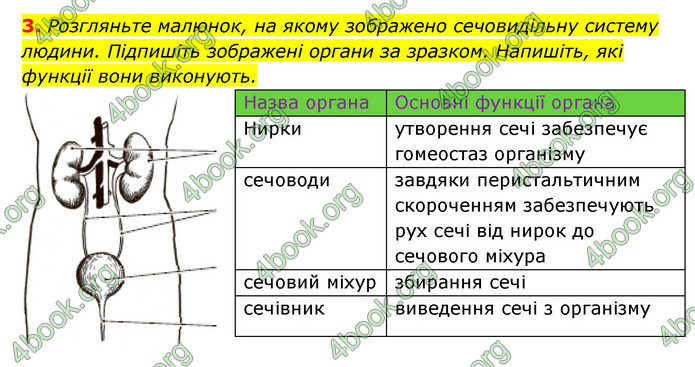 ГДЗ Зошит Біологія 8 клас Задорожний 2021