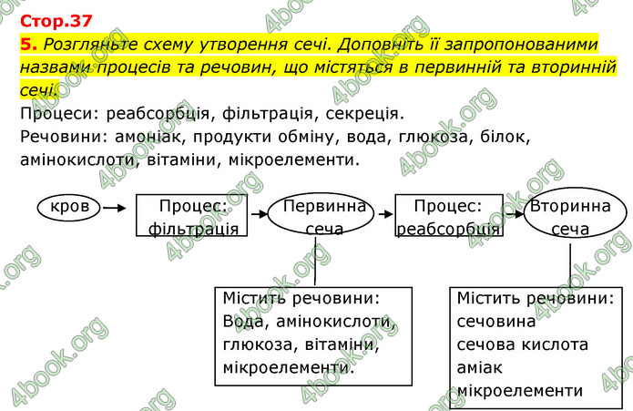 ГДЗ Зошит Біологія 8 клас Задорожний 2021