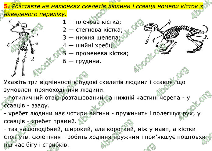 ГДЗ Зошит Біологія 8 клас Задорожний 2021