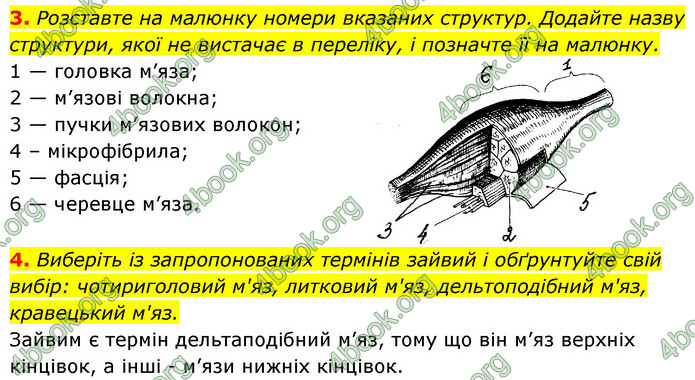 ГДЗ Зошит Біологія 8 клас Задорожний 2021