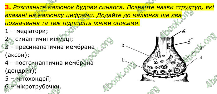 ГДЗ Зошит Біологія 8 клас Задорожний 2021