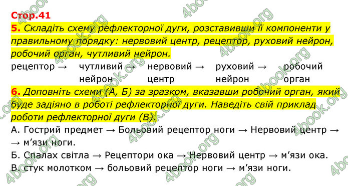 ГДЗ Зошит Біологія 8 клас Задорожний 2021