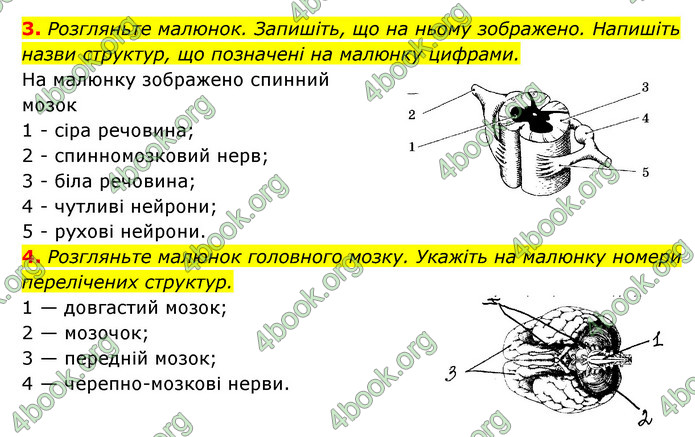 ГДЗ Зошит Біологія 8 клас Задорожний 2021