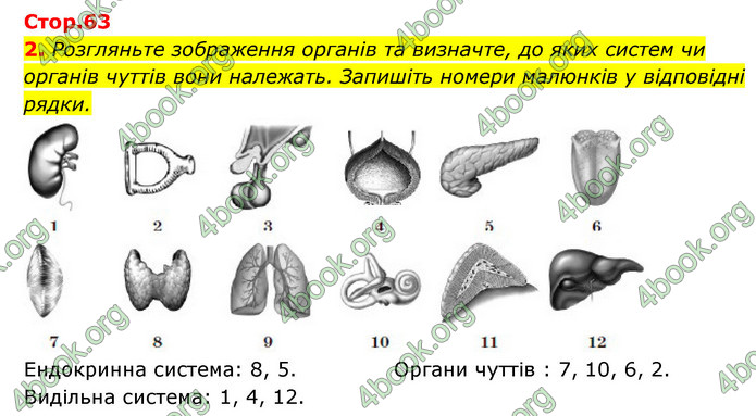 ГДЗ Зошит Біологія 8 клас Задорожний 2021