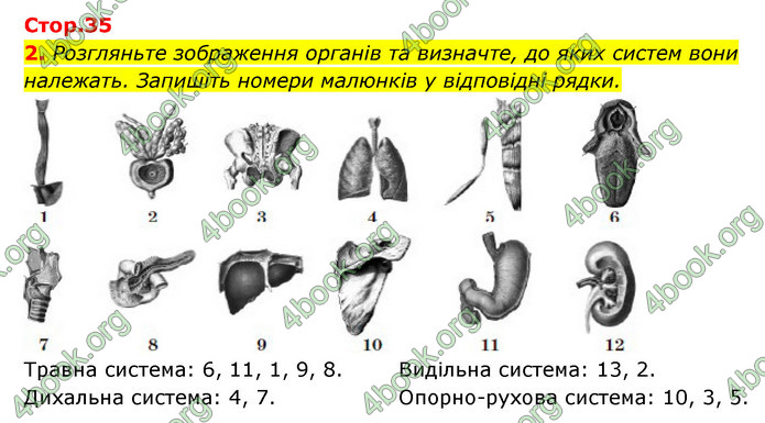 ГДЗ Зошит Біологія 8 клас Задорожний 2021