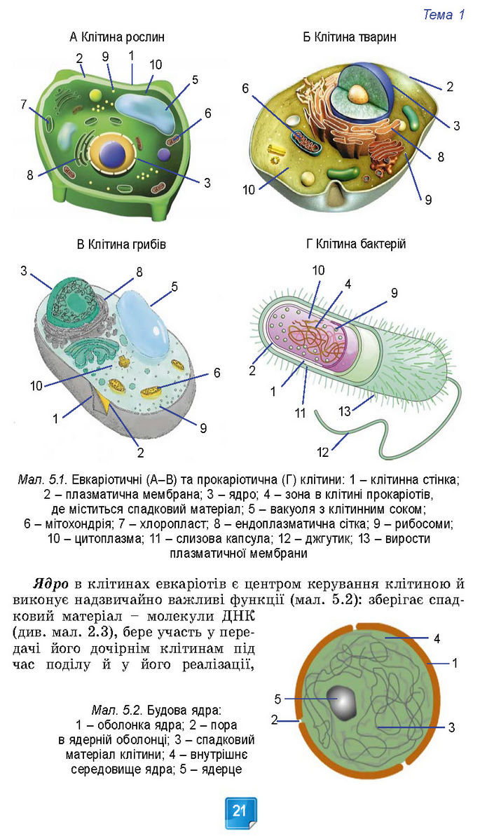 Підручник Біологія 7 клас Балан (2024)