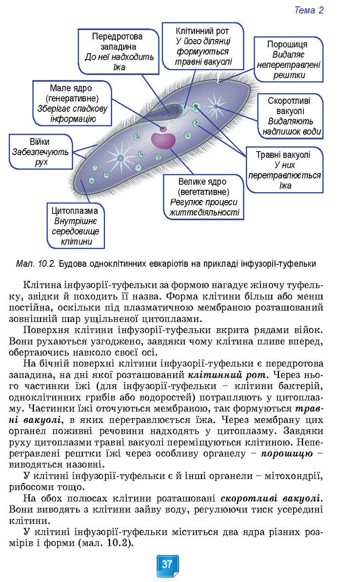 Підручник Біологія 7 клас Балан (2024)