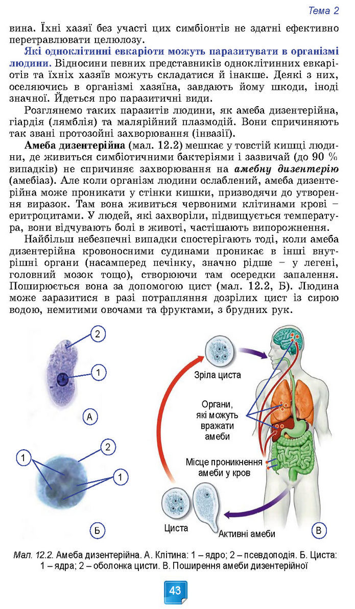 Підручник Біологія 7 клас Балан (2024)