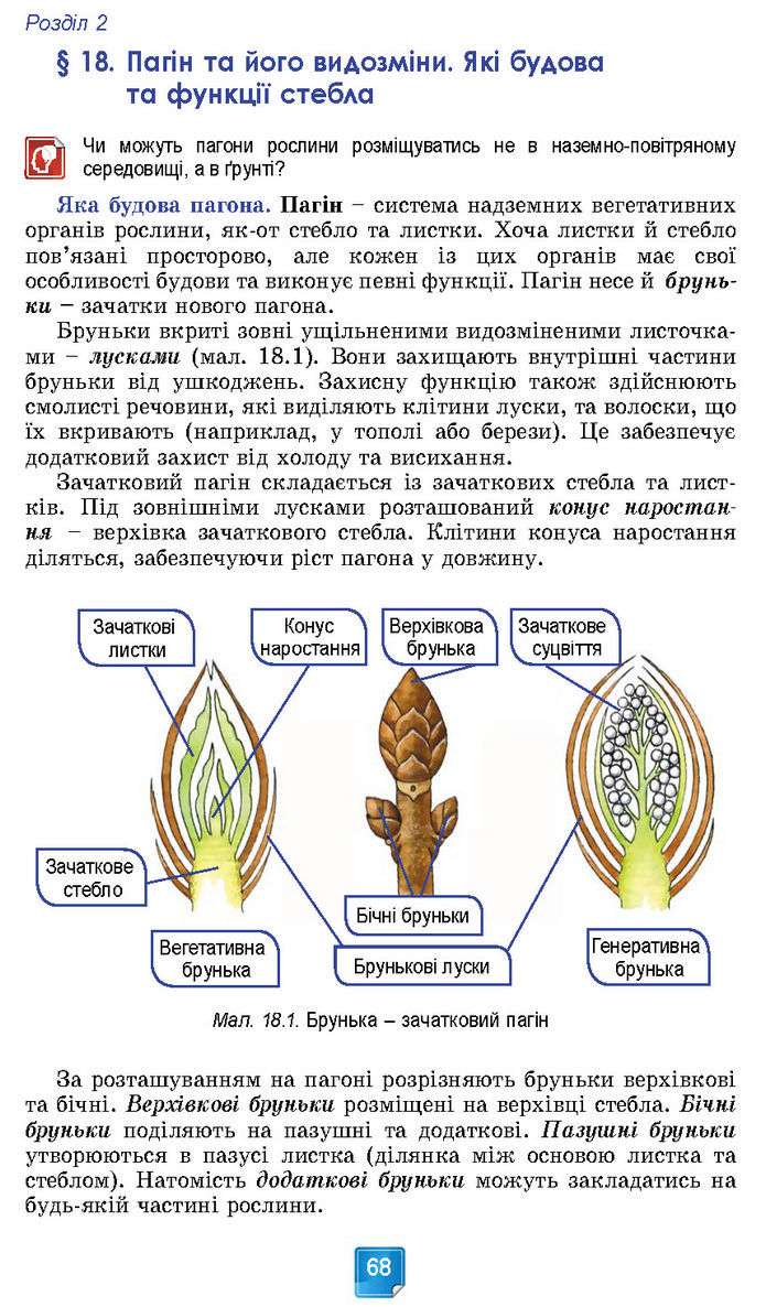 Підручник Біологія 7 клас Балан (2024)