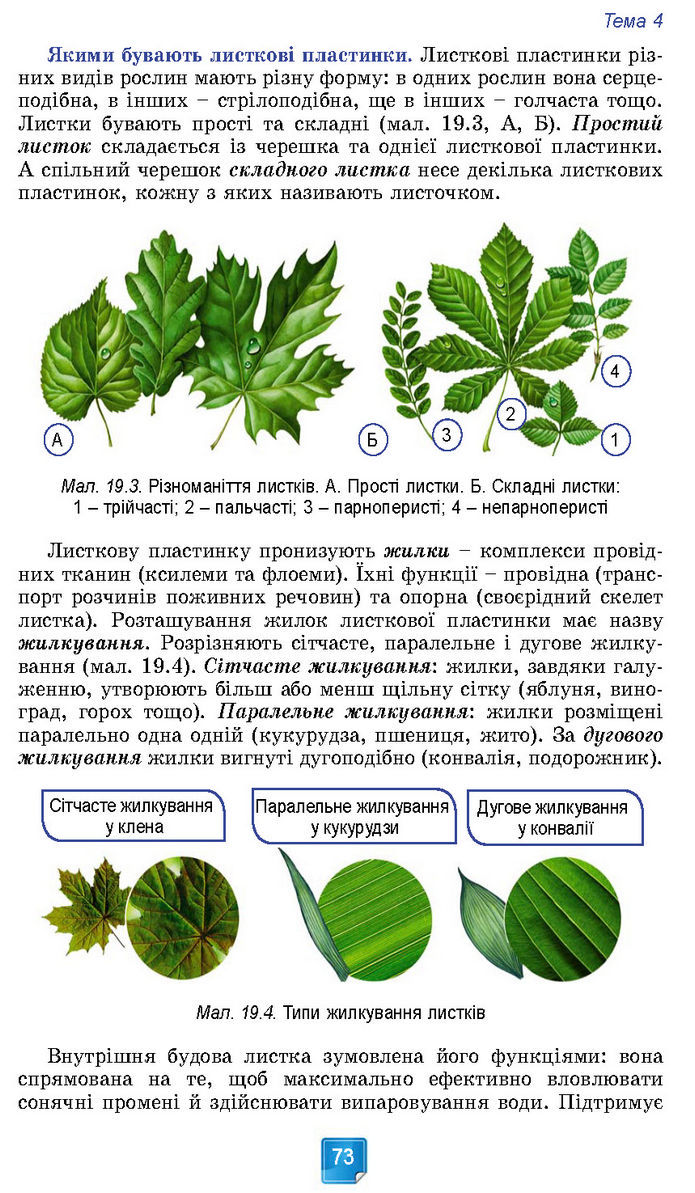 Підручник Біологія 7 клас Балан (2024)