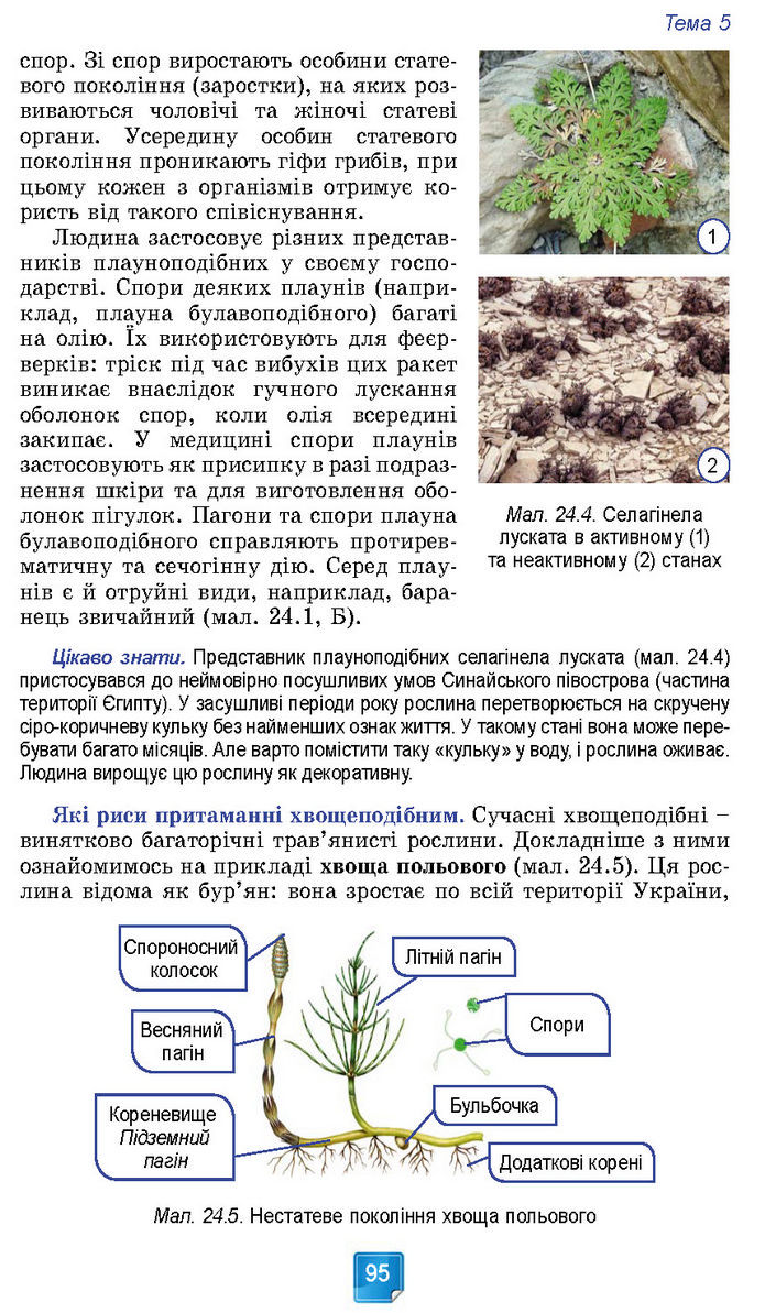 Підручник Біологія 7 клас Балан (2024)