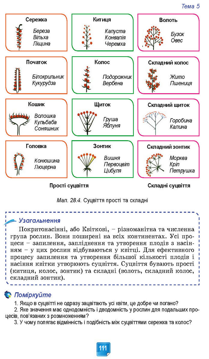 Підручник Біологія 7 клас Балан (2024)