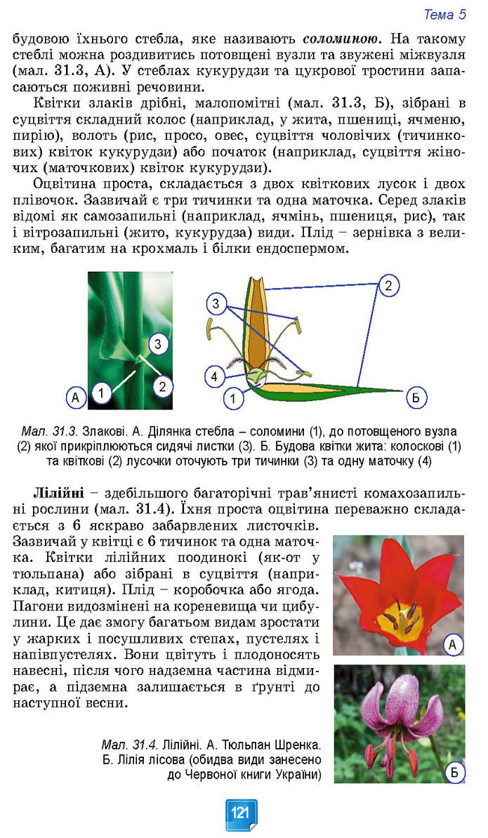 Підручник Біологія 7 клас Балан (2024)