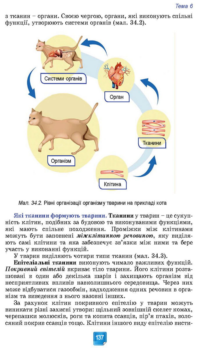 Підручник Біологія 7 клас Балан (2024)