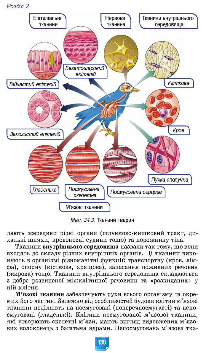 Підручник Біологія 7 клас Балан (2024)