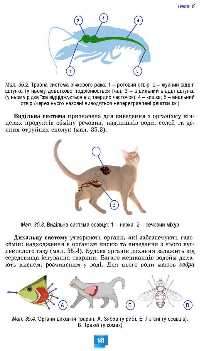 Підручник Біологія 7 клас Балан (2024)