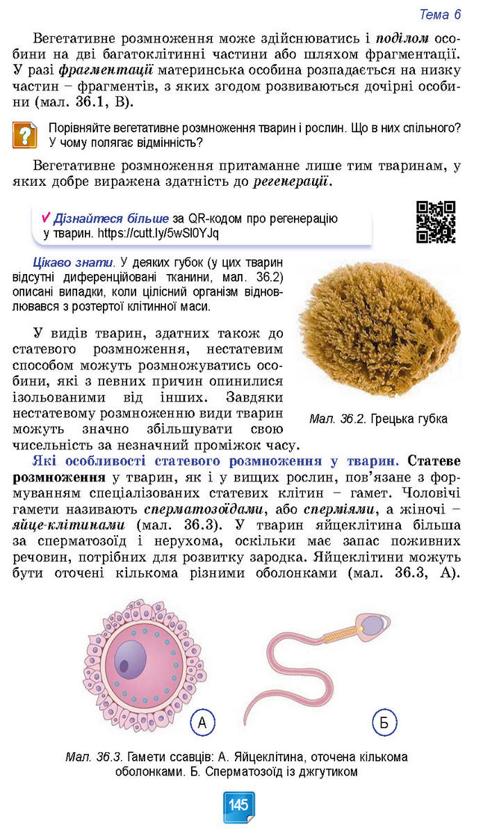 Підручник Біологія 7 клас Балан (2024)