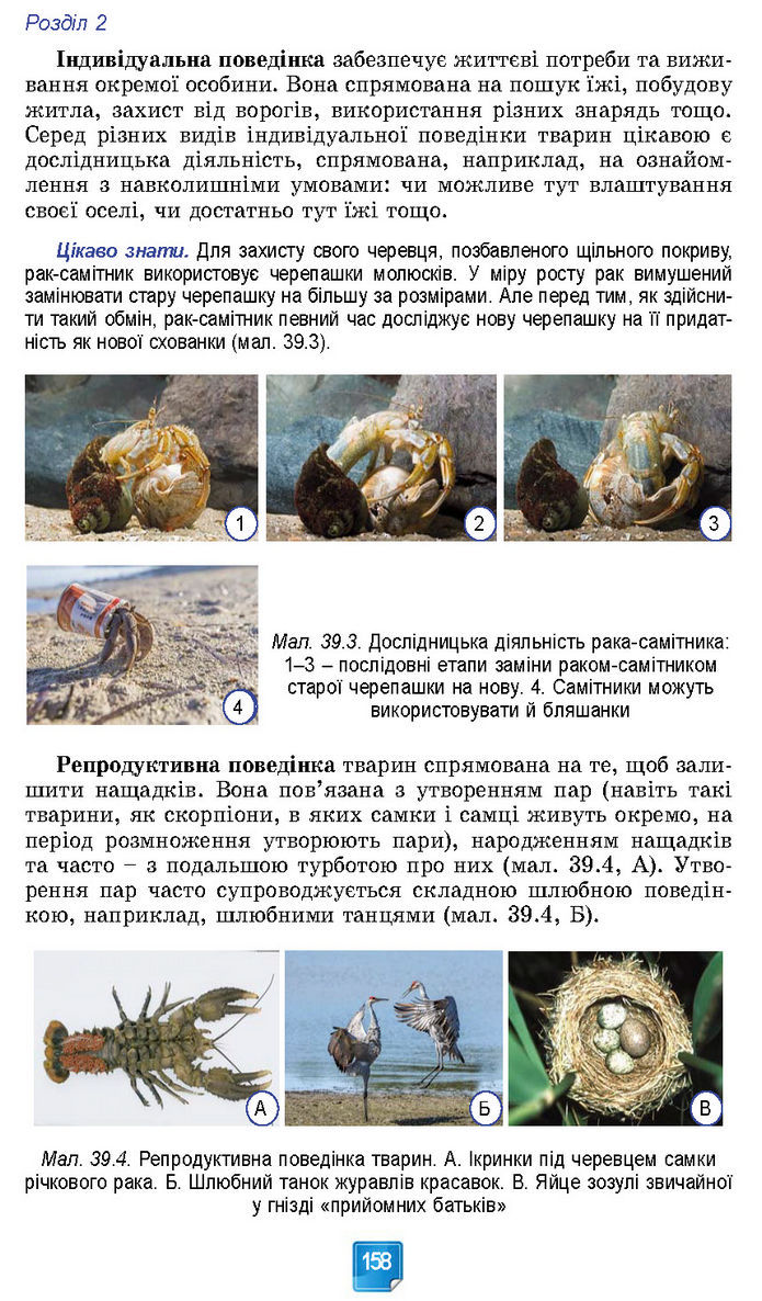 Підручник Біологія 7 клас Балан (2024)