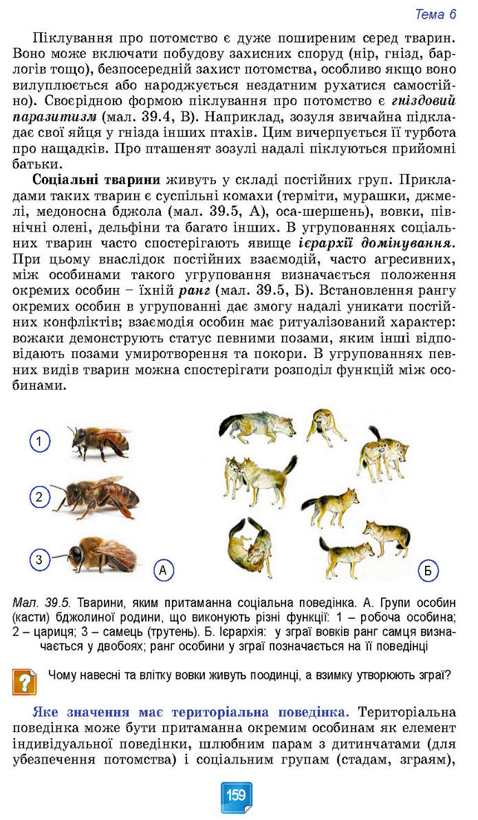 Підручник Біологія 7 клас Балан (2024)