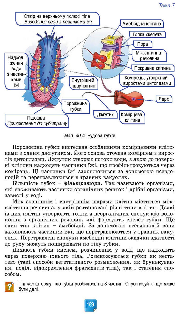 Підручник Біологія 7 клас Балан (2024)