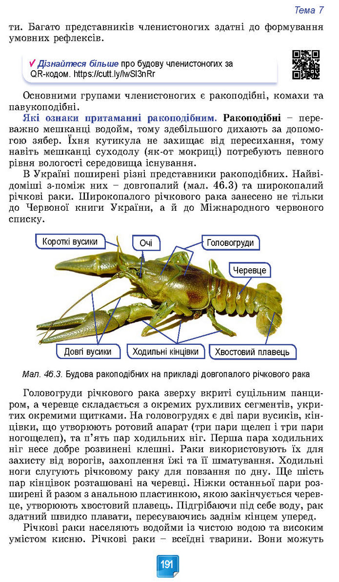 Підручник Біологія 7 клас Балан (2024)