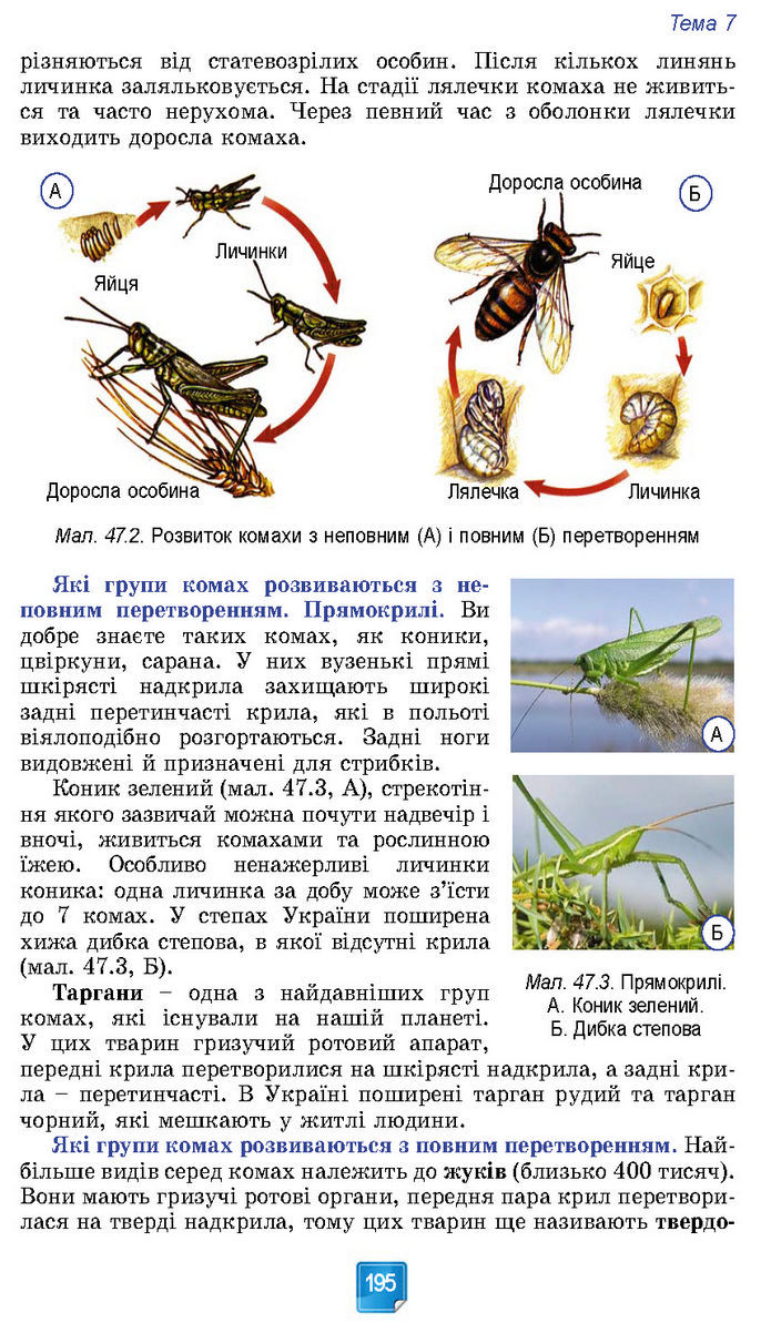 Підручник Біологія 7 клас Балан (2024)