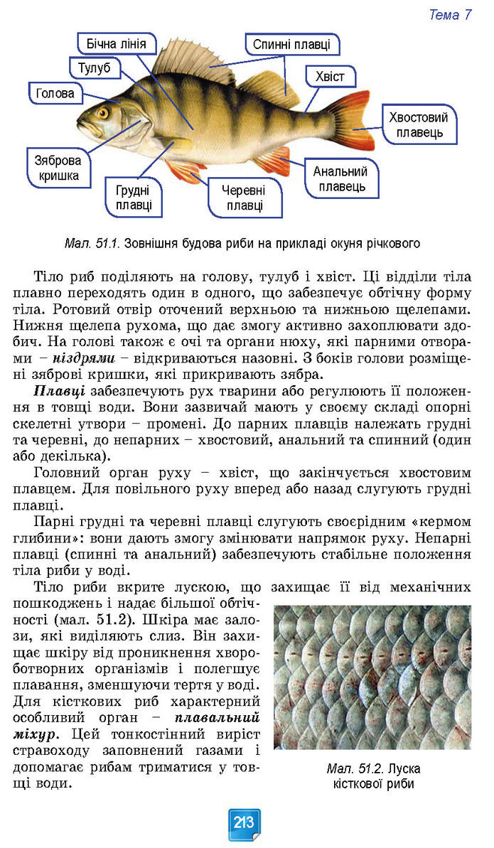 Підручник Біологія 7 клас Балан (2024)