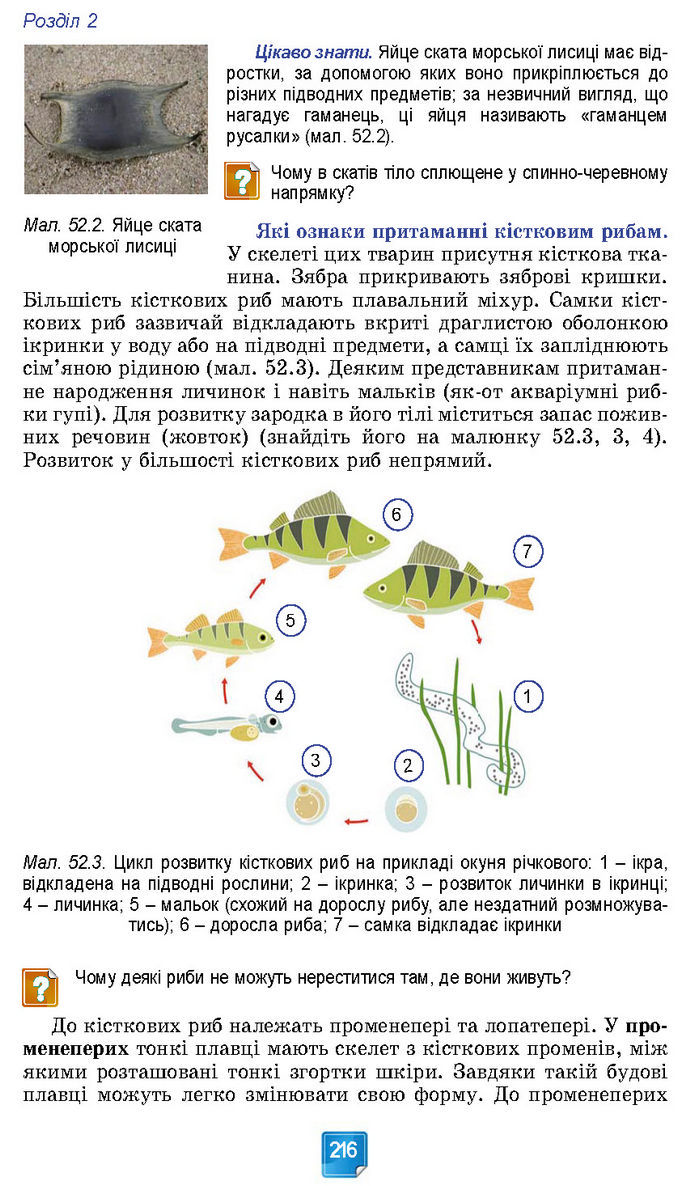 Підручник Біологія 7 клас Балан (2024)