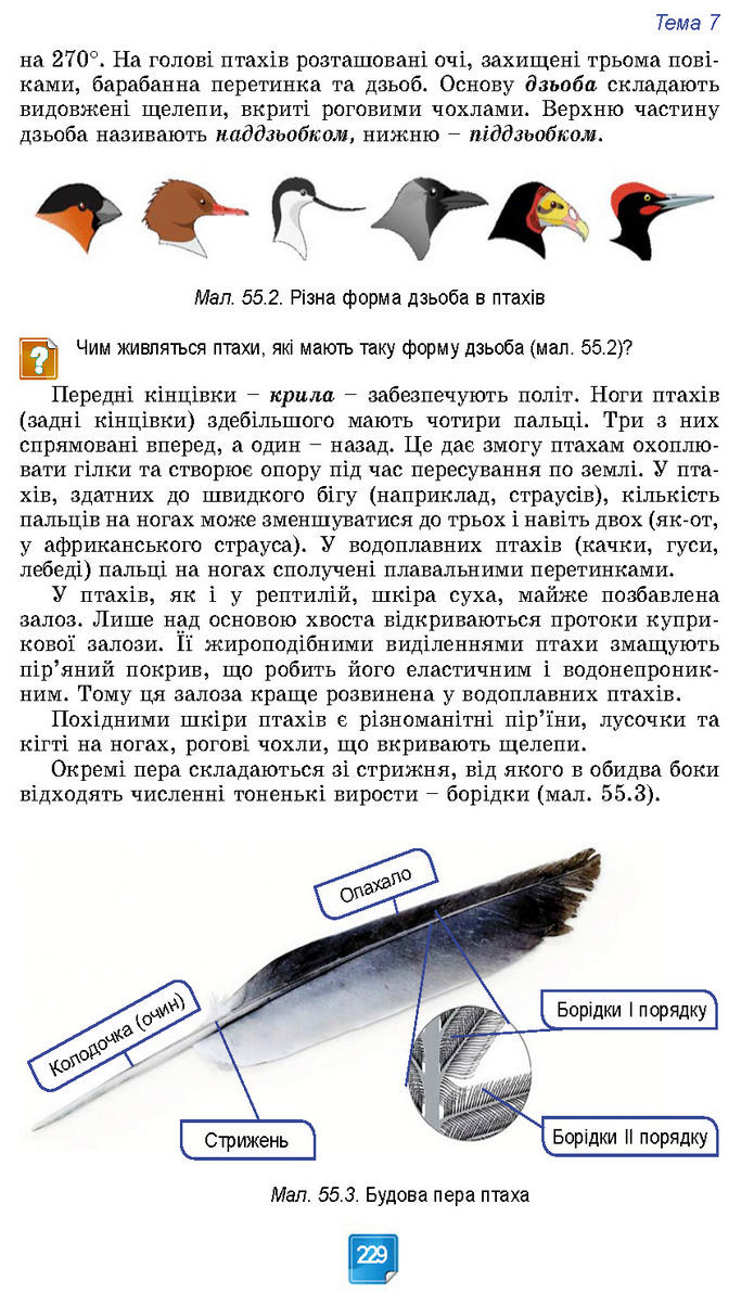 Підручник Біологія 7 клас Балан (2024)
