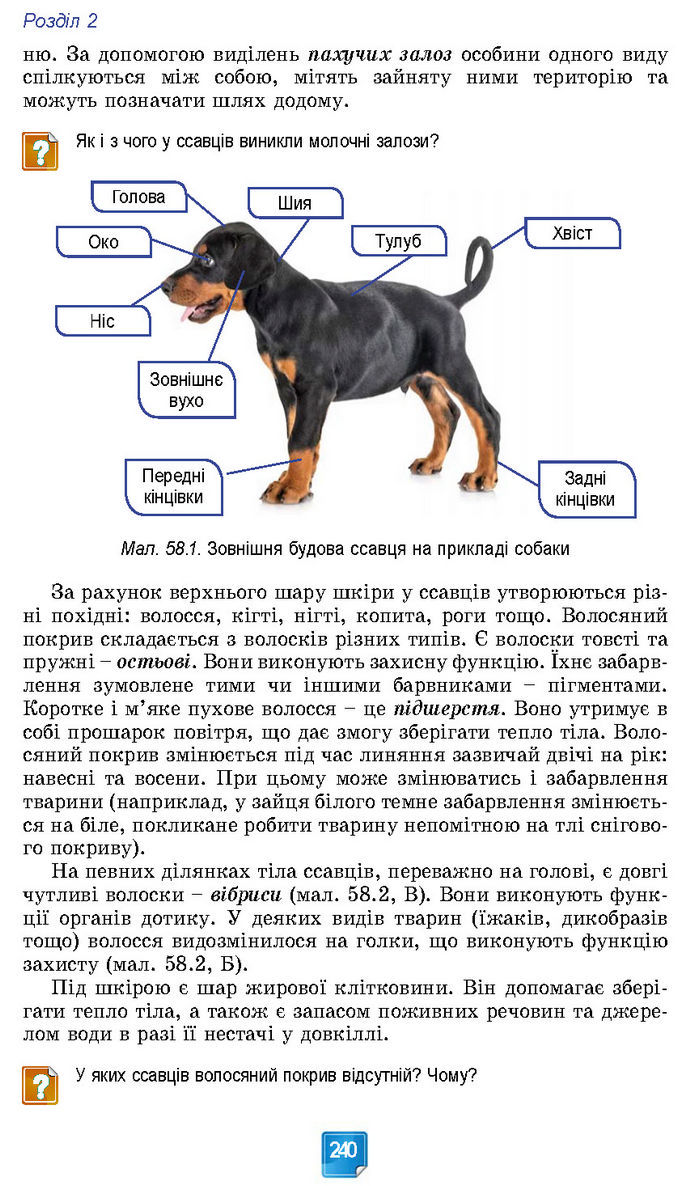 Підручник Біологія 7 клас Балан (2024)