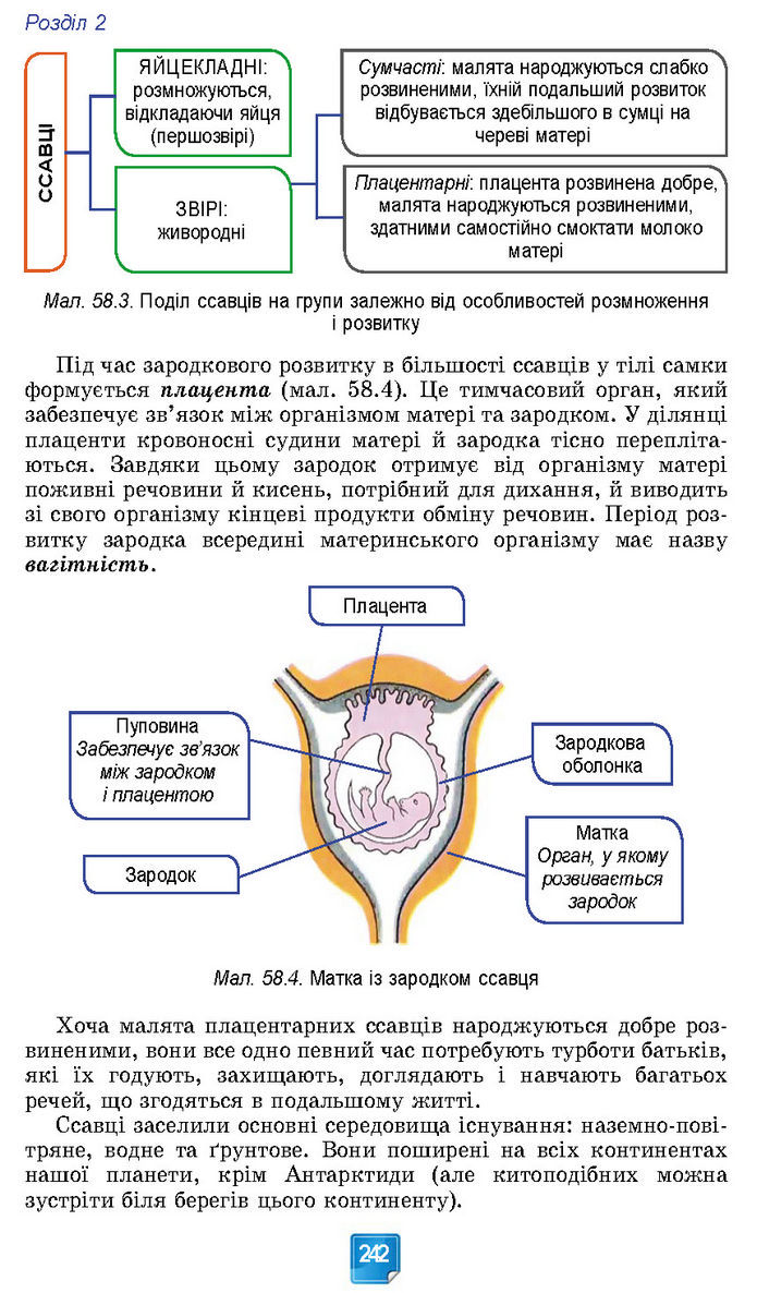 Підручник Біологія 7 клас Балан (2024)