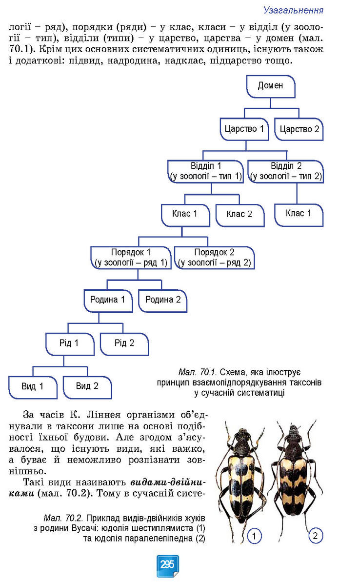 Підручник Біологія 7 клас Балан (2024)