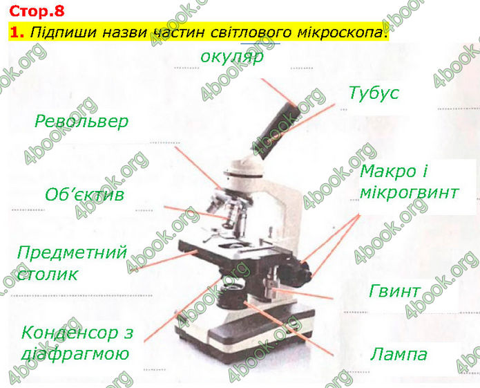 ГДЗ Зошит Біологія 7 клас Тагліна